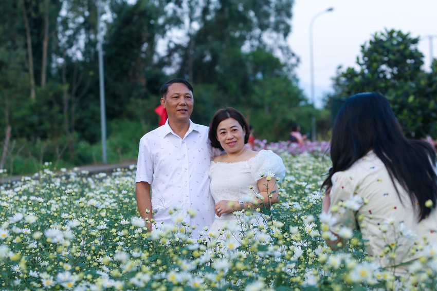 Du khách hào hứng check in vườn cúc họa mi trái mùa miễn phí ở Đà Nẵng - Ảnh 12.
