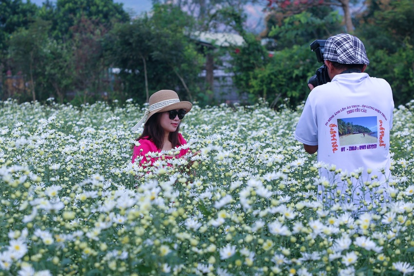 Du khách hào hứng check in vườn cúc họa mi trái mùa miễn phí ở Đà Nẵng - Ảnh 10.