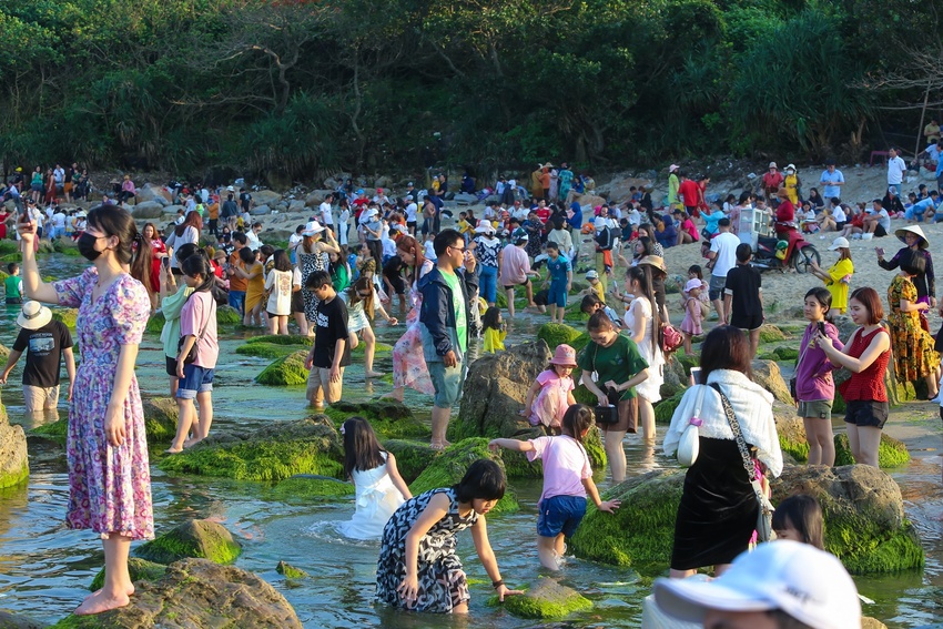 Ảnh: Chen chân chụp ảnh bãi rêu tuyệt đẹp ven biển Đà Nẵng - Ảnh 3.