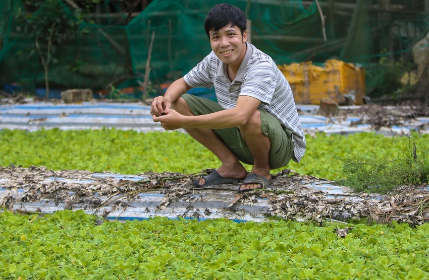 Thất nghiệp, hướng dẫn viên du lịch về quê nuôi ốc kiếm hơn 30 triệu đồng/tháng, sở hữu trại ốc lớn nhất Quảng Nam - Ảnh 10.