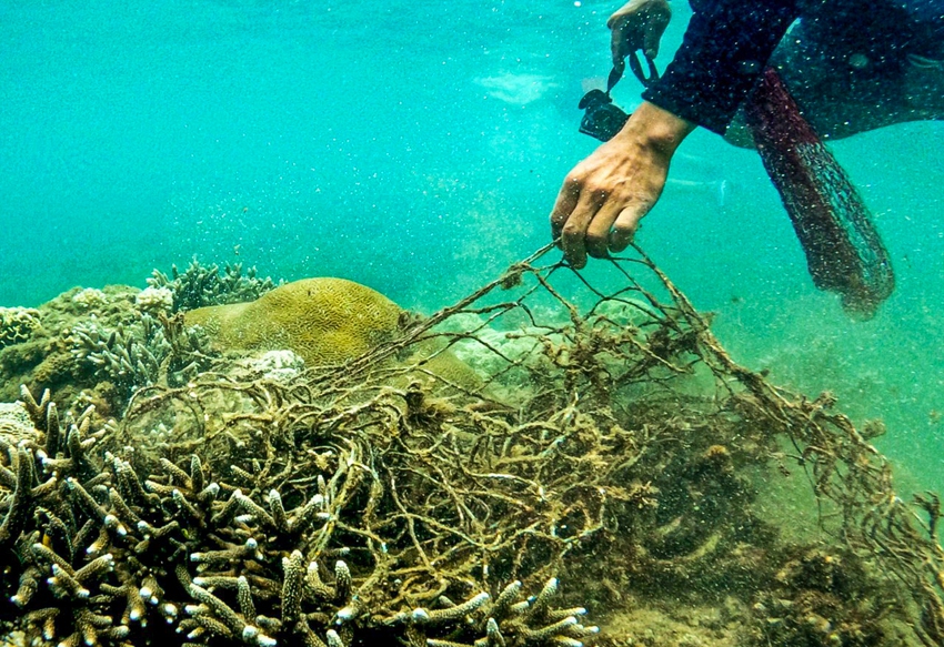 Chuyện những chiếc lưới ma bức tử san hô ở Đà Nẵng và nhóm phượt đáy biển, giải cứu đại dương - Ảnh 10.