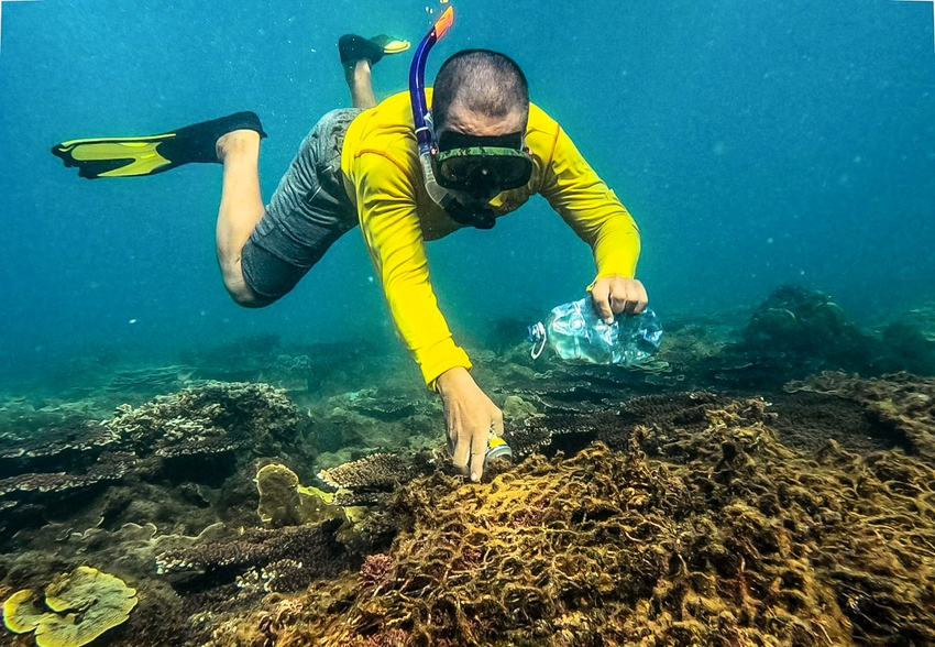 Chuyện những chiếc lưới ma bức tử san hô ở Đà Nẵng và nhóm phượt đáy biển, giải cứu đại dương - Ảnh 9.