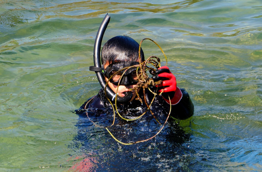 Chuyện những chiếc lưới ma bức tử san hô ở Đà Nẵng và nhóm phượt đáy biển, giải cứu đại dương - Ảnh 19.