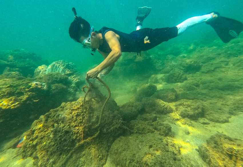 Chuyện những chiếc lưới ma bức tử san hô ở Đà Nẵng và nhóm phượt đáy biển, giải cứu đại dương - Ảnh 16.