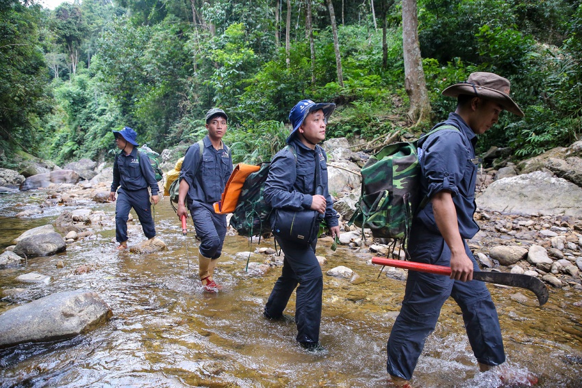 Vào rừng Tây Giang cùng biệt đội phá bẫy: Những ngày “ăn gió, nằm sương” để giải cứu động vật hoang dã - Ảnh 5.