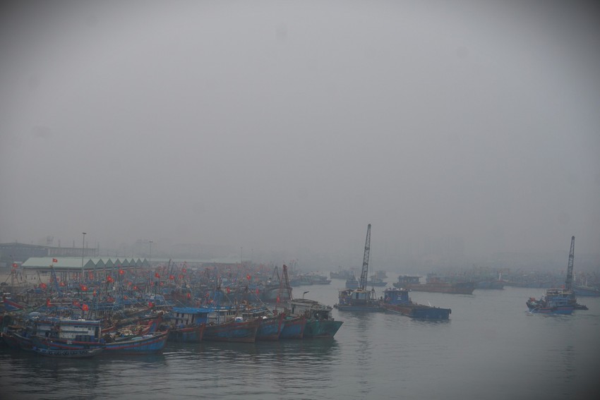 Ảnh: Phố phường Đà Nẵng chìm trong sương mù dày đặc hiếm thấy - Ảnh 15.