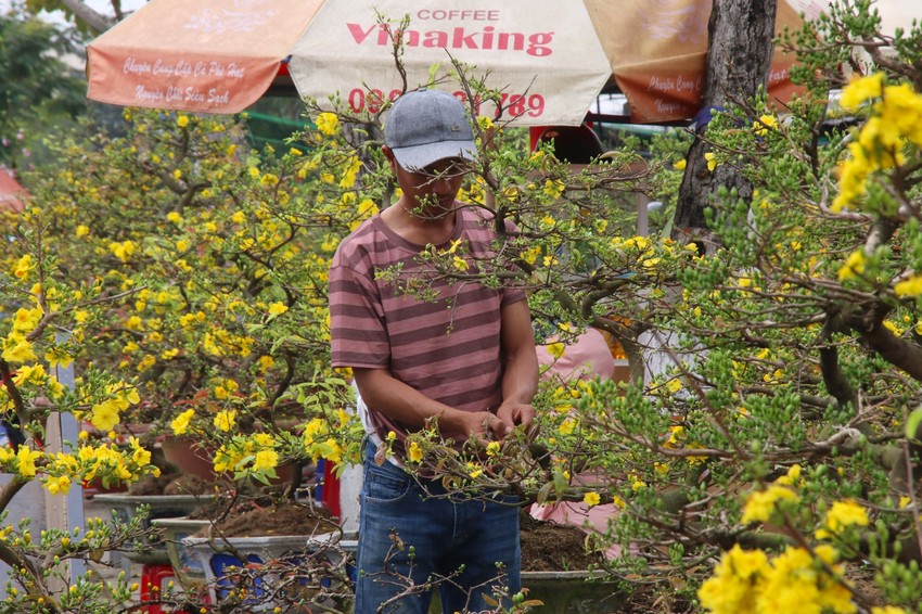 Vắng bóng thượng đế, tiểu thương tại chợ hoa Tết lớn nhất Đà Nẵng đứng ngồi không yên - Ảnh 9.