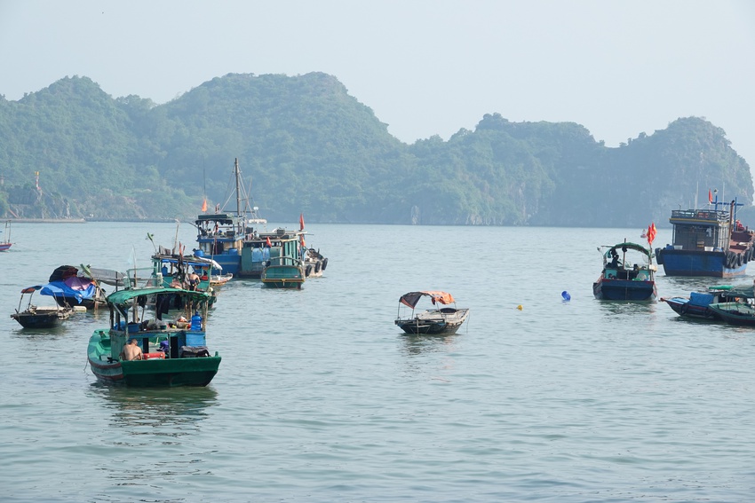 Đi dạo trên "bãi rác", "check-in" mặt vịnh đầy vỏ chai - trải nghiệm không tưởng ở "đảo ngọc" đất Bắc khiến du khách thở dài một chữ "tệ"- Ảnh 11.