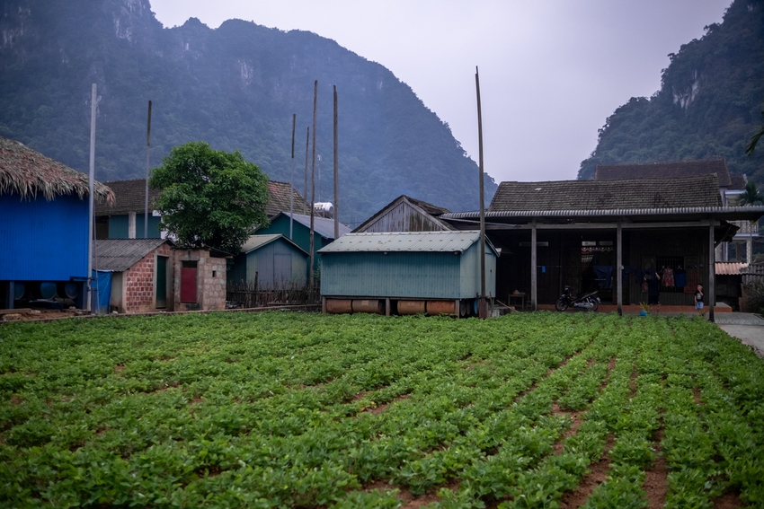 Lạ kỳ nơi người dân “sống vui với lũ” và chuyện nữ doanh nhân đứng sau những căn nhà “không bao giờ chìm” ở miền Trung- Ảnh 21.