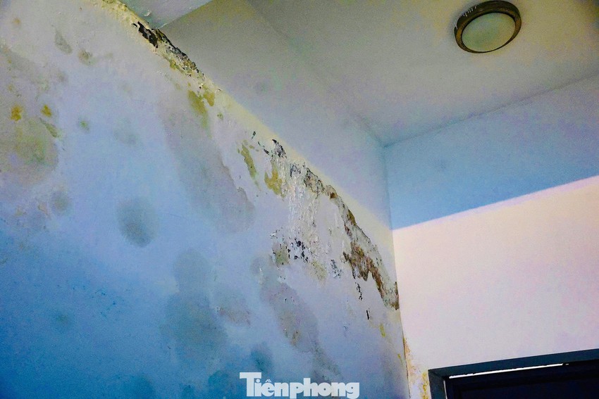 Trường chuyên Amsterdam xuống cấp: Chi ngân sách gần trăm tỉ đồng cải tạo, chưa nghiệm thu đã bong tróc, thấm dột- Ảnh 10.