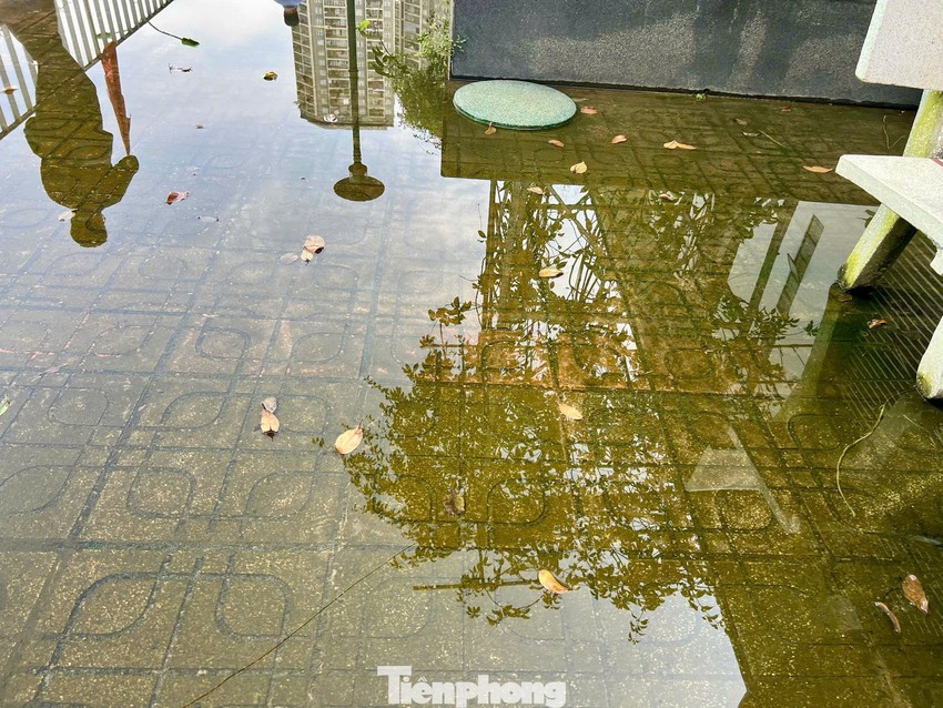 Trường chuyên Amsterdam xuống cấp: Chi ngân sách gần trăm tỉ đồng cải tạo, chưa nghiệm thu đã bong tróc, thấm dột- Ảnh 12.