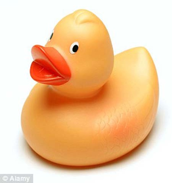 Náo loạn vì cơn mưa... thịt gà Náo loạn vì cơn mưa... thịt gà