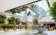 Vẻ đẹp gây nghiện của Apple Store 