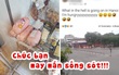 Cẩn thận hơn cả, anh Tây ở Sài Gòn đã chuẩn bị sẵn đồ ăn dự trữ trước khi 