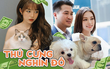 Bóc giá dàn thú cưng của hội trai xinh gái đẹp: Nghìn đô là chuyện bình thường, thần thái sang chảnh đã nói lên tất cả