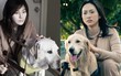 Bằng Chứng Vô Hình: Dàn diễn viên chất lượng không thua gì bản gốc nhưng nội dung 