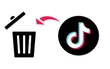 TikTok đã xóa gần 500 triệu video vi phạm chỉ trong cuối năm 2019