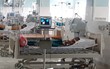 Người đàn ông nguy kịch vì bị đàn ong vò vẽ tấn công