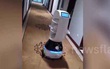 Giữa đại dịch virus corona, dân Trung Quốc phải dùng robot để giao đồ ăn cho người bệnh bị cách ly