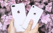 Trong tầm giá 12 - 17 triệu, đây là những mẫu smartphone đáng mua hơn iPhone SE 2020 mới