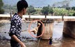 Chàng trai quăng hàng chục con gà xuống suối khiến dân mạng nhao lên tiếc rẻ, hóa ra đó lại là 