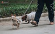 Hà Nội 11 độ C, hội béo kêu mát hội gầy kêu lạnh, ngày mai thì ai cũng run cầm cập trong mưa rét hết thôi