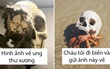 14 hình ảnh rợn tóc gáy phản ánh một góc khuất khác của cuộc sống