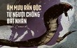Người phụ nữ chết tức tưởi dưới răng rắn hổ, những chi tiết bất thường hé lộ âm mưu tàn độc từ cuộc hôn nhân 