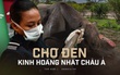 Bên trong chợ đen buôn lậu sừng tê kinh hoàng nhất châu Á: Không cách nào ngưng lại, kể cả khi đại dịch xuất hiện