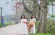 Tháng 3, hoa gạo nở rực góc trời Hà Nội: Thiếu nữ xúng xính áo dài, 