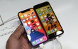 Người Việt thích iPhone, nhưng có những mẫu vẫn bị hắt hủi thẳng tay