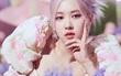 Rosé (BLACKPINK) chính thức tái xuất YouTube sau hơn 1 tháng 