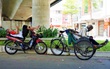 Ảnh: Nhọc nhằn giấc ngủ 