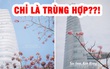 Drama chụp ảnh Sài Gòn: Những góc chụp trùng hợp một cách bất ngờ của tài khoản Instagram đang bị tố đạo nhái