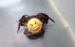 Mua cua về nhà chưa kịp chế biến, cô gái liền cầu cứu dân mạng vì gặp cảnh 