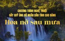 Chương trình nghệ thuật “Hoa nở sau mưa” - Sẻ chia vì đồng bào vùng bão lũ