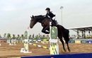 Vinpearl Equestrian Cup 2025: Bước đột phá của thể thao cưỡi ngựa Việt Nam