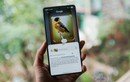 Khám phá Bidoup - Núi Bà cùng Galaxy S25 Series và “hướng dẫn viên AI” Gemini Live