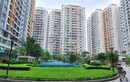 Giấc mơ an cư của người trẻ: chặng đường không dễ, nhưng có lối đi