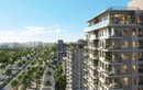 Solaria Rise - “chuẩn sống mới” của Gen Z