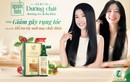Học sao Việt bí quyết dưỡng và hỗ trợ tóc mới mọc chắc khoẻ!
