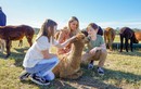 Từ những vườn nho đến mùa hoa rực rỡ: 5 chuyến đi trong ngày tuyệt đẹp từ Sydney