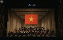 Hãng Hàng không quốc gia và vai trò nâng tầm thương hiệu điểm đến Việt Nam