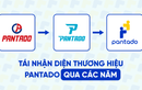 Sau 10 năm - Pantado làm mới nhận diện và hành trình giáo dục tiếng Anh