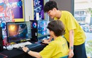 Khi nghề nghiệp không còn là lựa chọn một lần cho cả cuộc đời