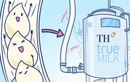 Khám phá hành trình "không hở một giây" của giọt sữa tươi sạch TH true MILK
