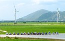 Motul Việt Nam cùng 200 tay lái FE+ chinh phục miền Trung đầy nắng gió