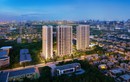 Giới trẻ đang định nghĩa lại về “nhà” như thế nào?