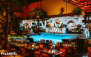 Palmora có gì mà vừa khai trương đã thành “tọa độ” mới của hội mê nightlife tại TP.HCM?