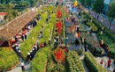 Home Hanoi Xuan 2023: Tiếp nối sứ mệnh xây dựng “Thành phố Sáng tạo”